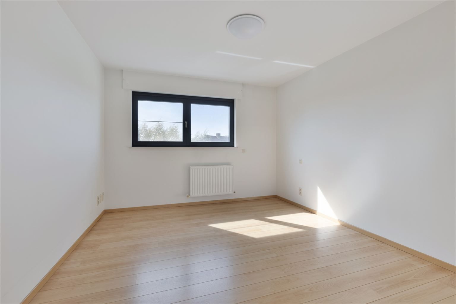 Instapklare, vrijstaande woning op 5a14ca. Voorzien van 4 slaapkamers en een inpandige garage op een rustige locatie in Kinrooi.  foto 20