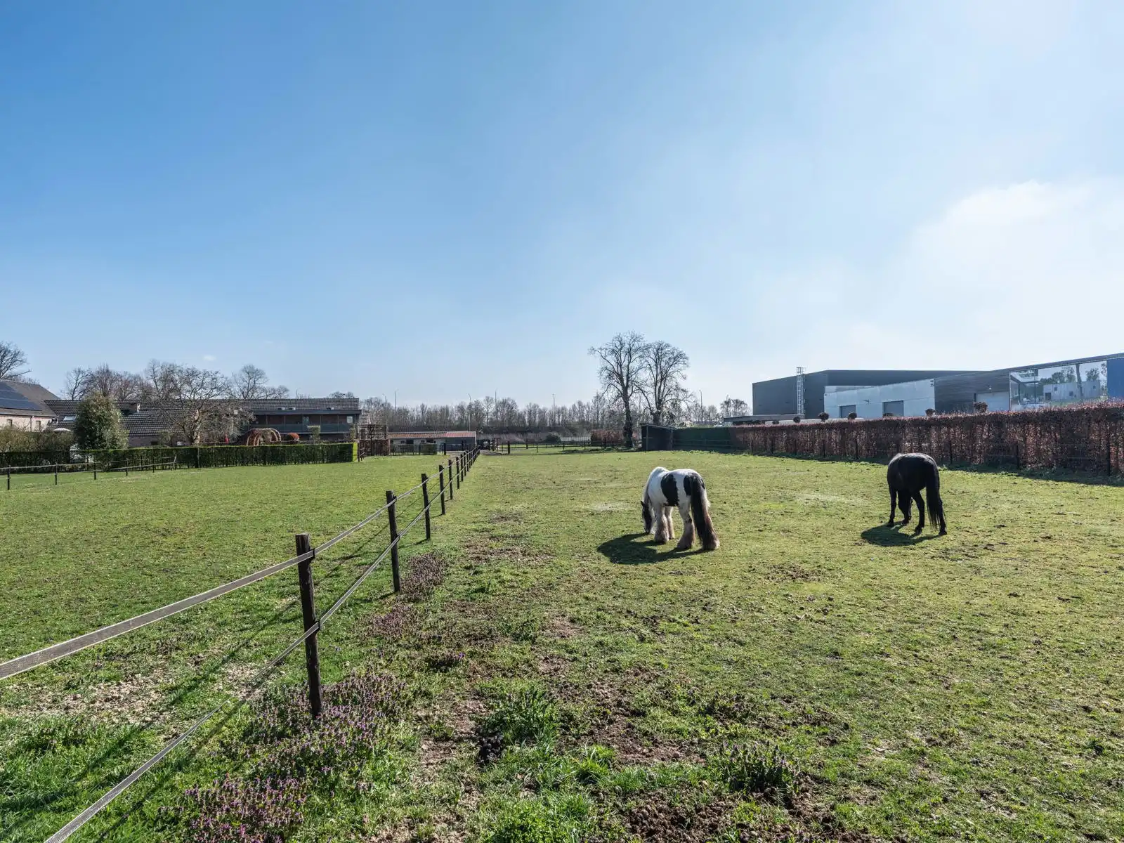 Huis te koop foto 7