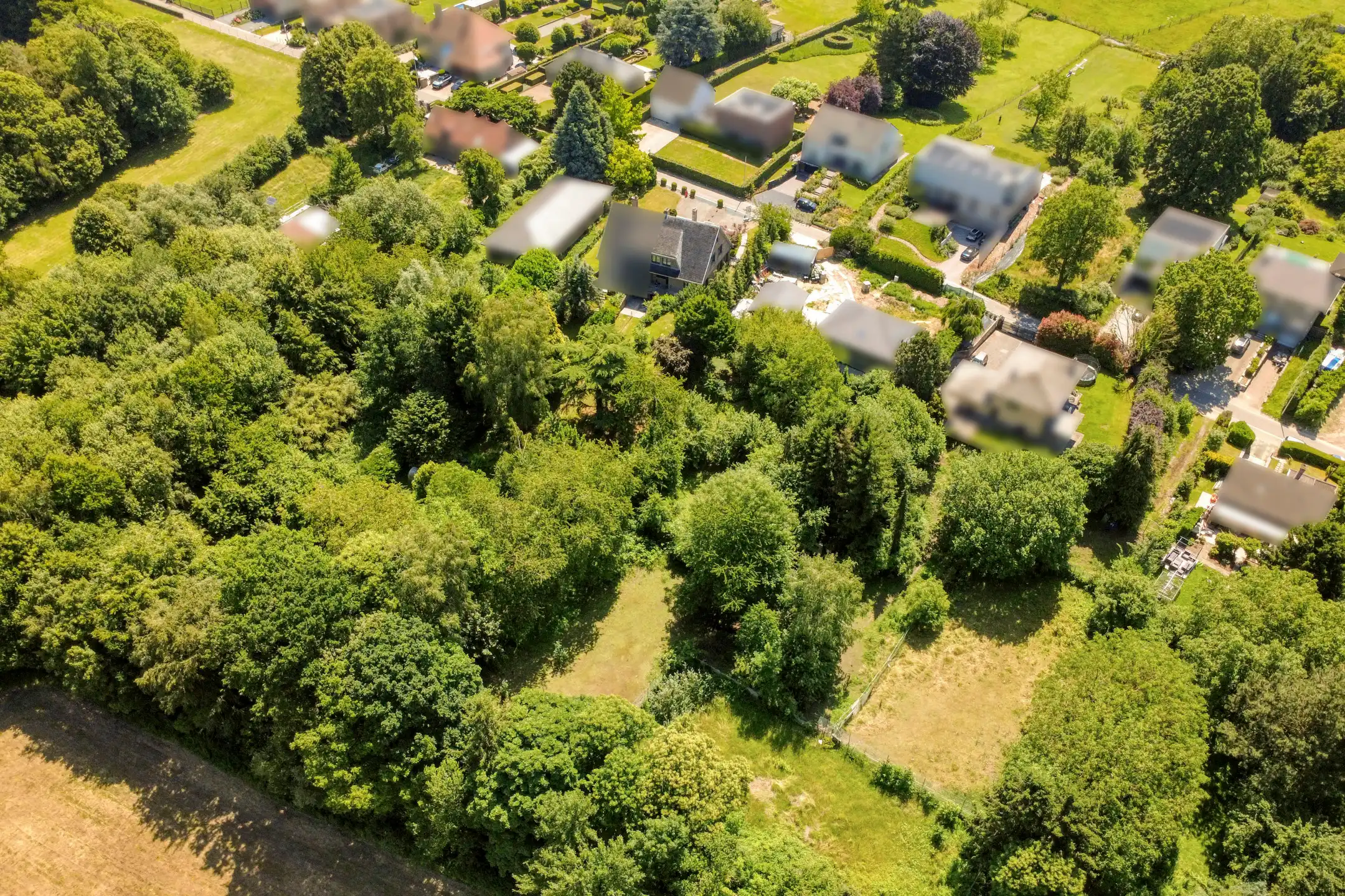 Ruime woning op 1.700 m² en optionele weide van 4.200 m² foto 23