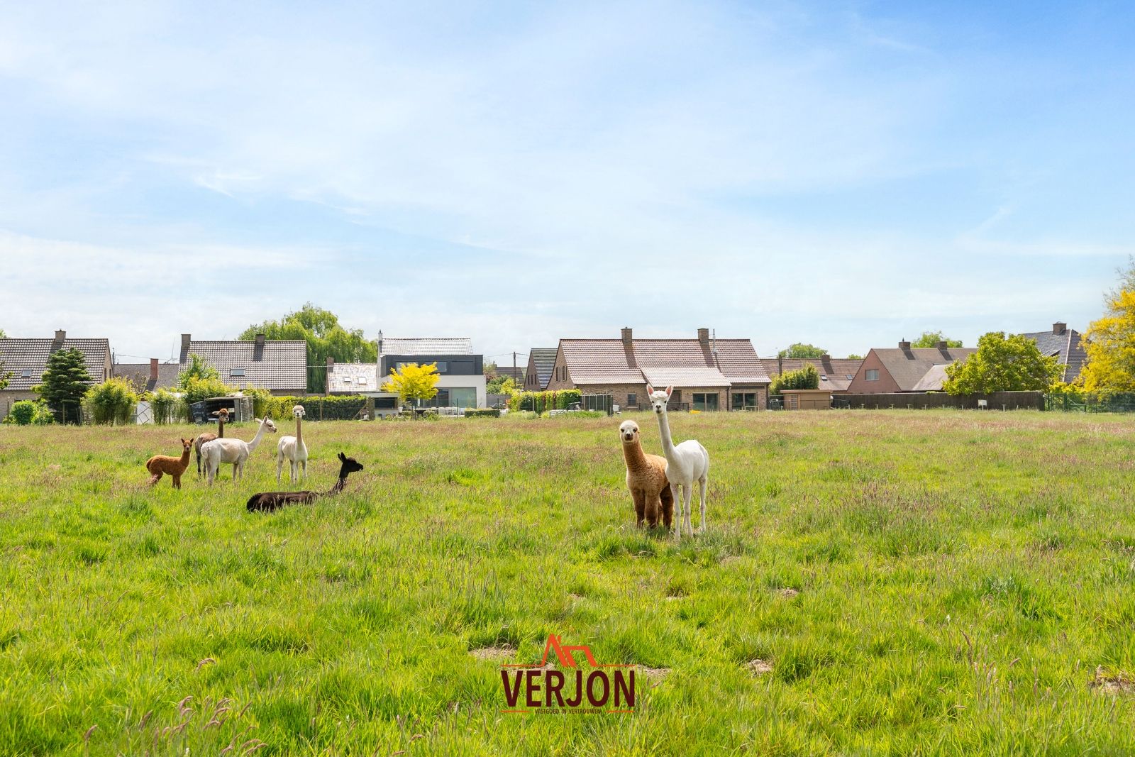 Riante villa op 13.722m2 met 6 slaapkamers, dubbele garage en prachtig vergezicht foto 31