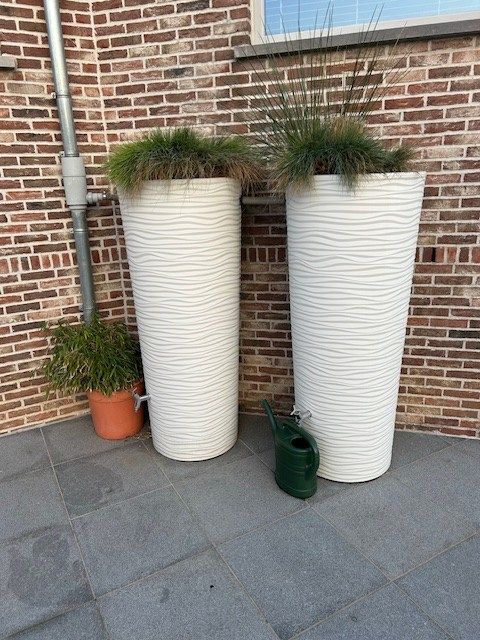 Niet enkel in een oester kan u een pareltje vinden... foto 39