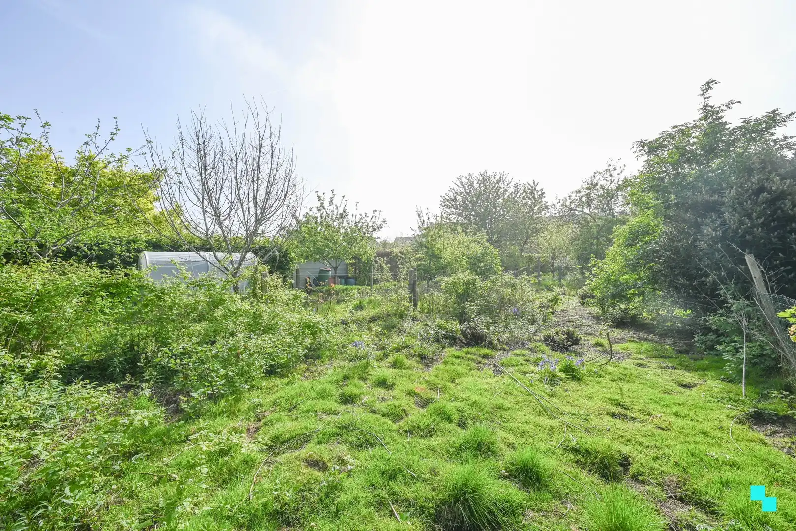 Te renoveren woning in Petegem-aan-de-Leie foto 19