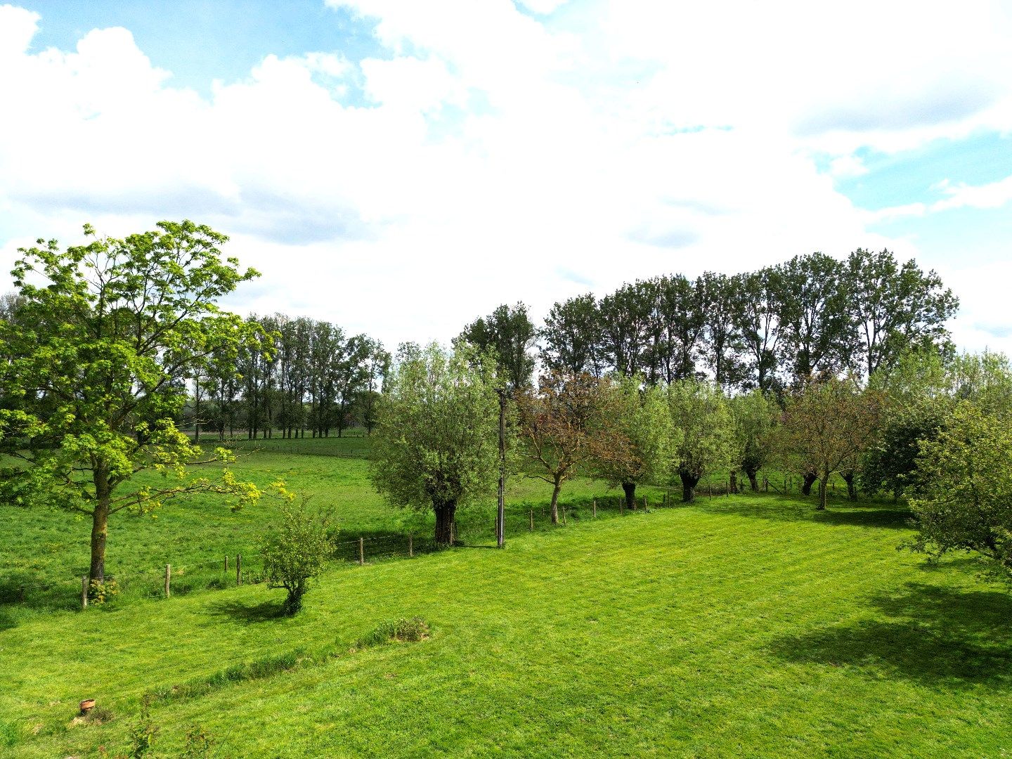 Uniek en zeer rustig gelegen hoeve op 3,9 Ha nabij Damme. foto 29