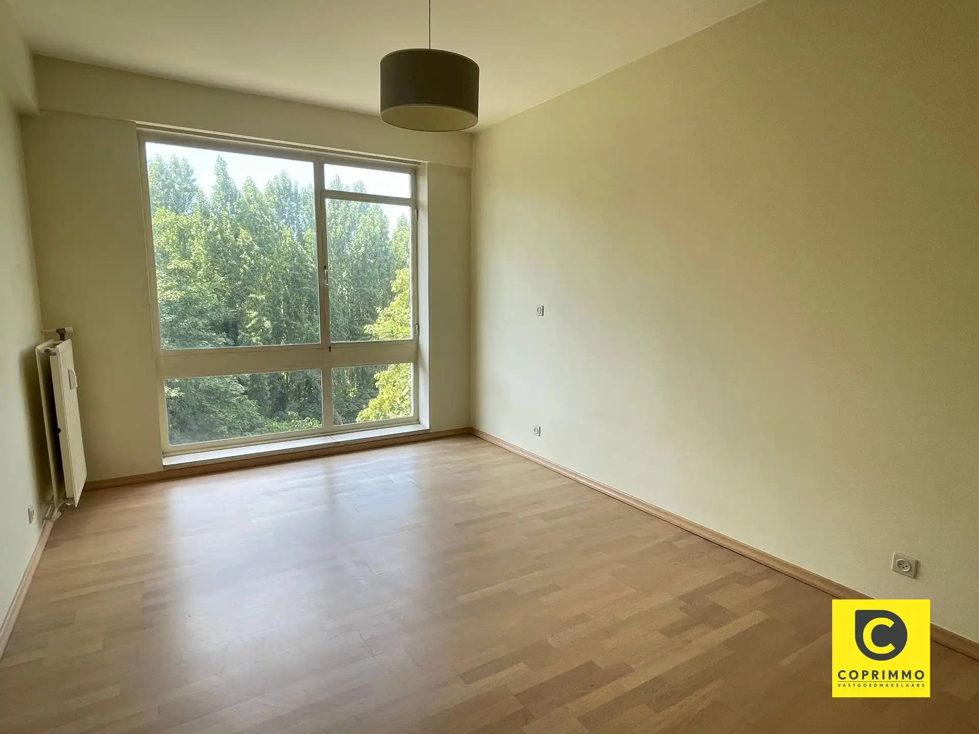 Gezellig 3-Slaapkamer appartement in Wilrijk foto 4