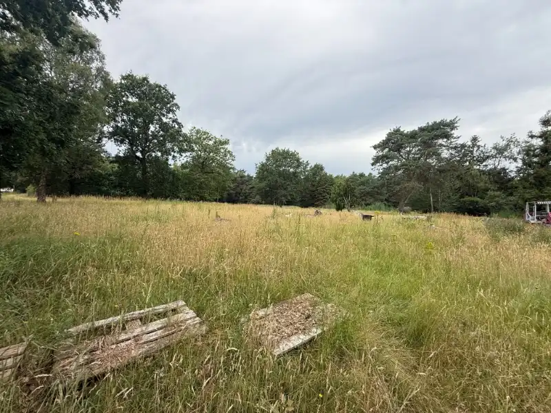 Uniek groendomein van ca. 6 ha met te renoveren woning. foto 16