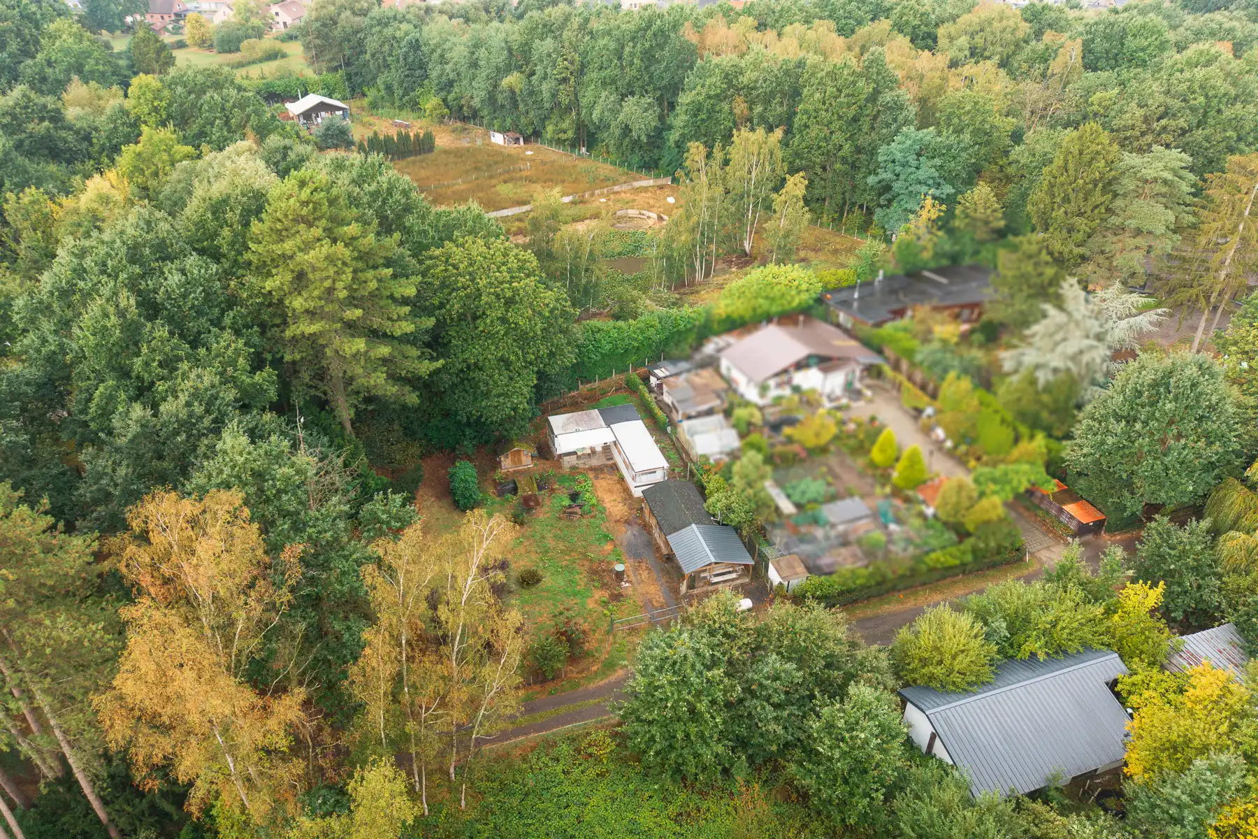 Ruim perceel van 10 are in groene omgeving foto 2