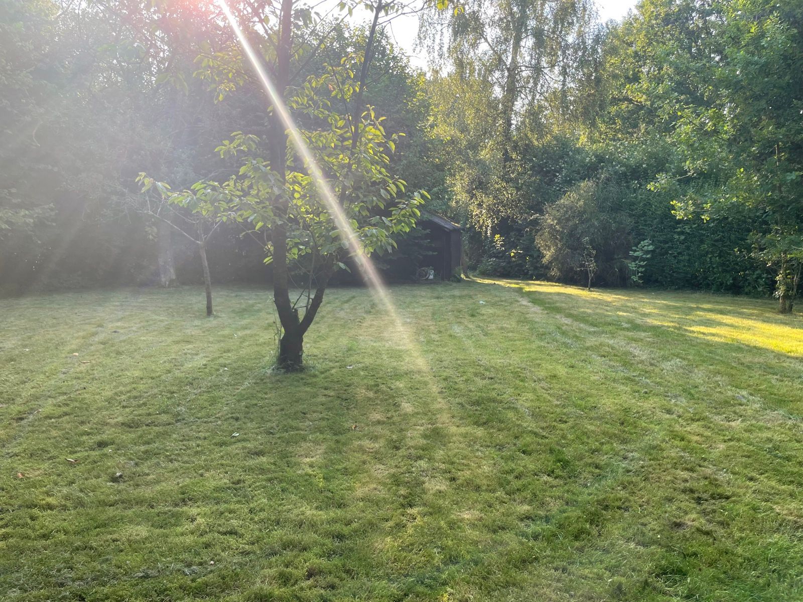 Ruime bungalow met grote tuin en garage foto 14