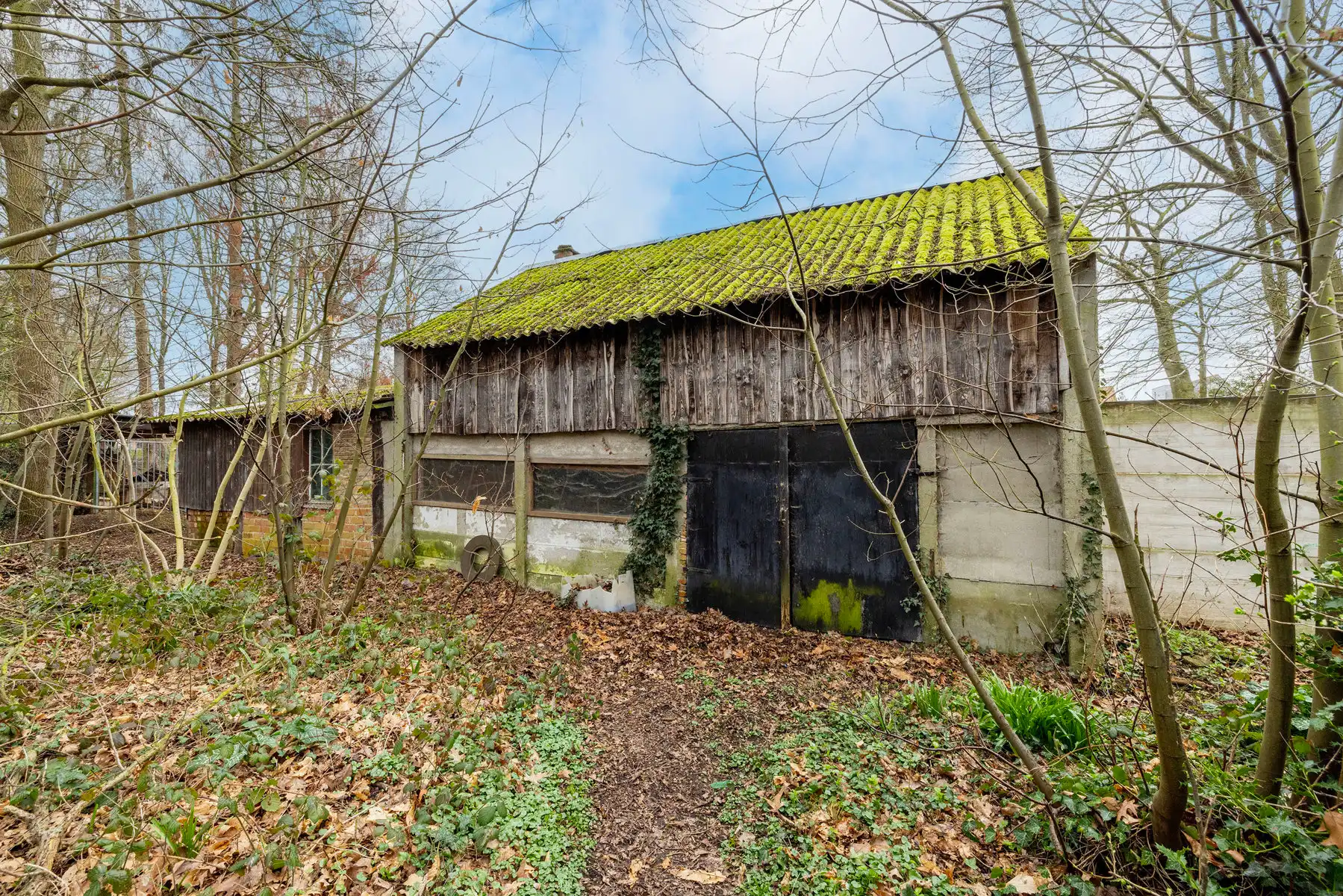 HOB met 3/4 slpk, voor- en zijdeur, garage en tuin op 702m² foto 20