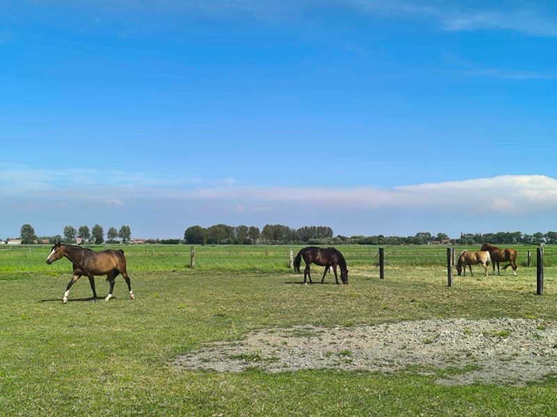 Landelijke eigendom foto 13