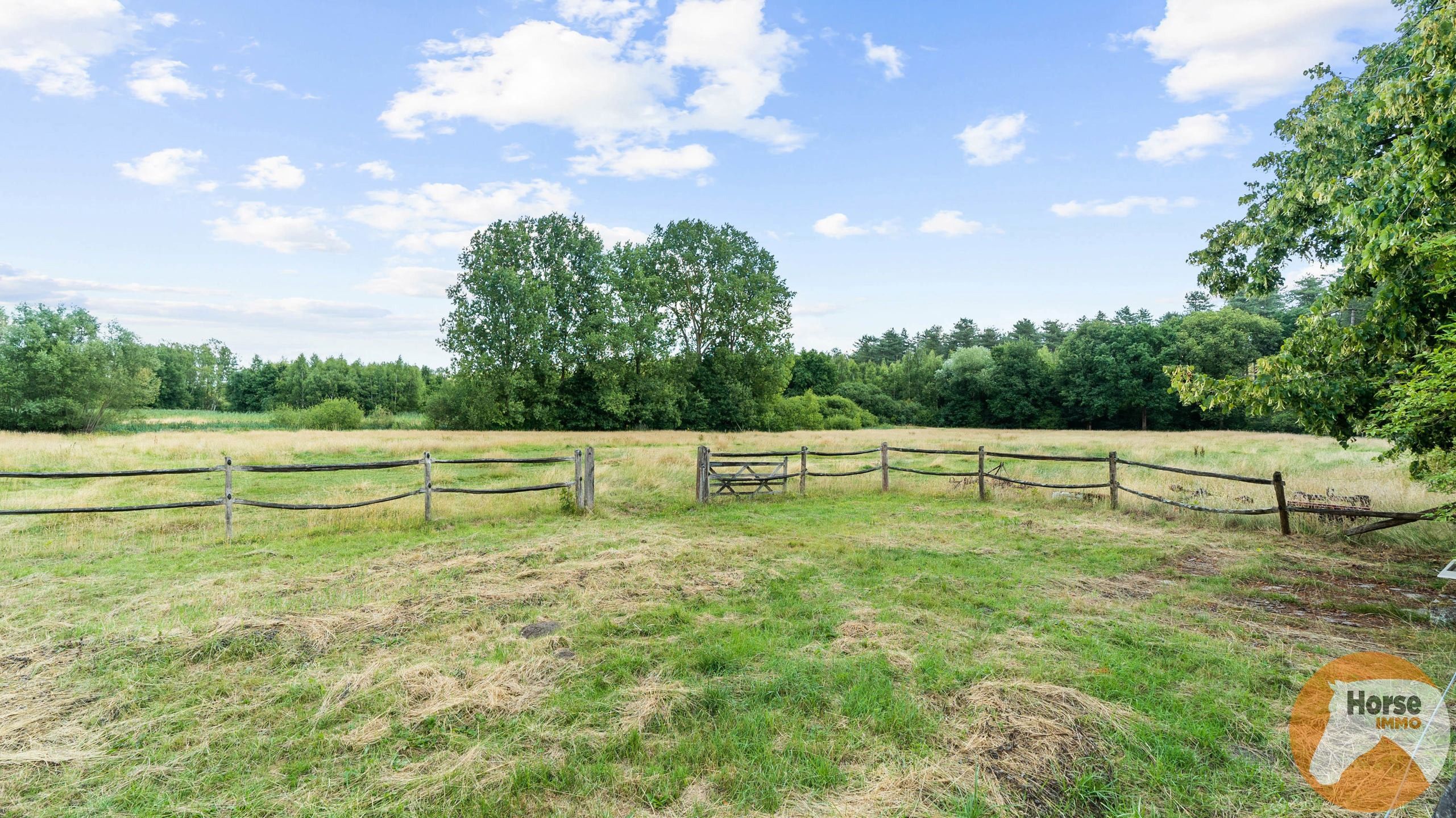 TESSENDERLO - Uniek gelegen hoeve met schuren op 3ha76 foto 34
