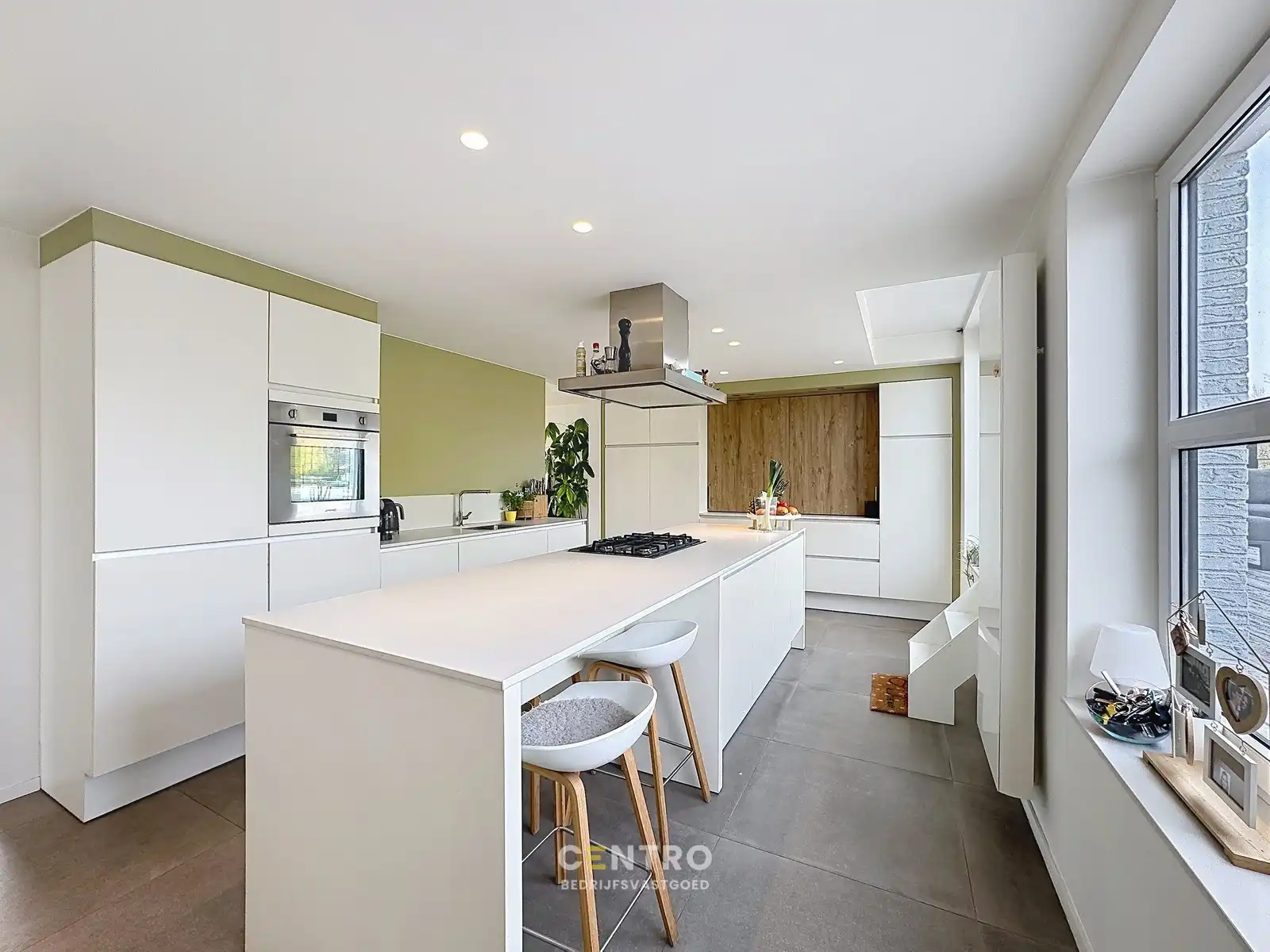 Modern en instapklaar WOON-WERKPAND met professionele ruimten, lichtrijk & ruim APPARTEMENT met zonneterras en aangelegde tuin. foto 8