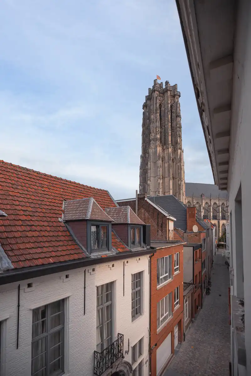 Uniek en ruim duplex-appartement in hartje Mechelen foto 13