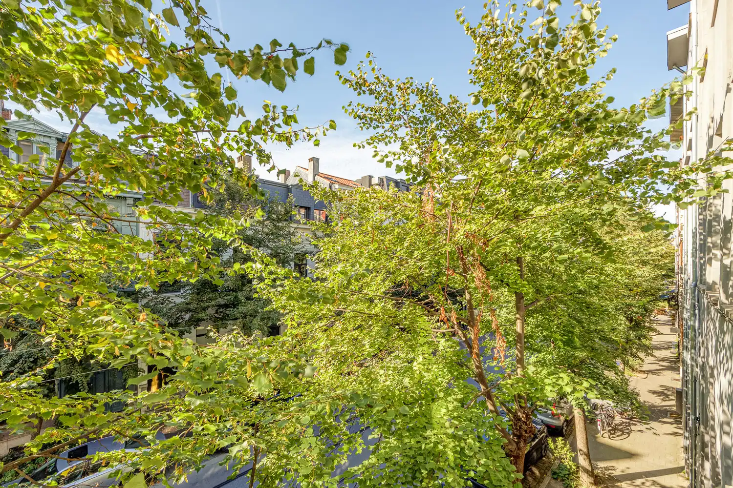 LICHTRIJK EN KARAKTERVOL APPARTEMENT MET ZONNEBALKON OP TOPLOCATIE AAN DE MARNIXPLAATS OP 'TZUID foto 10