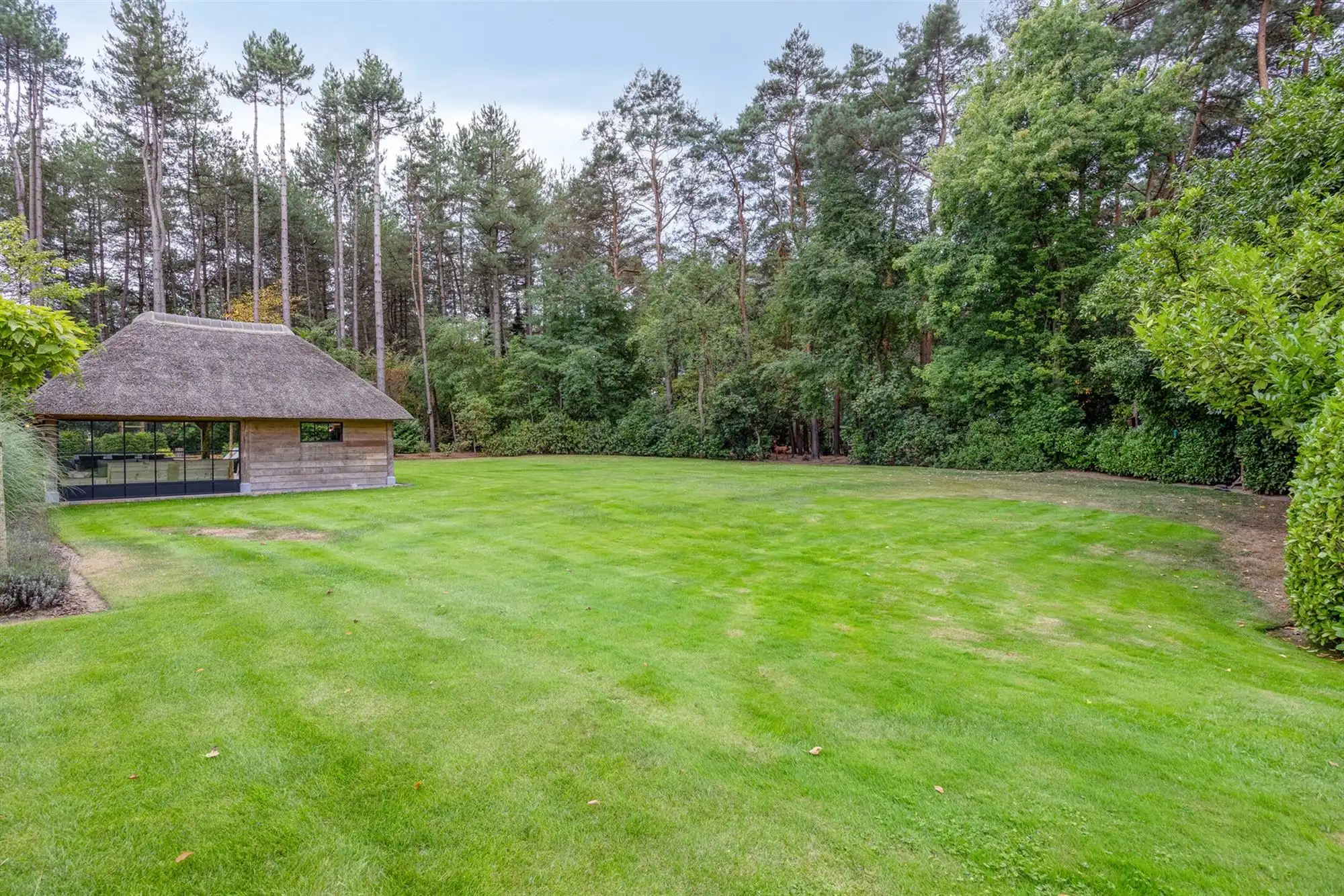 Landelijke luxe: unieke villa op 7.188 m² privé-domein foto 68