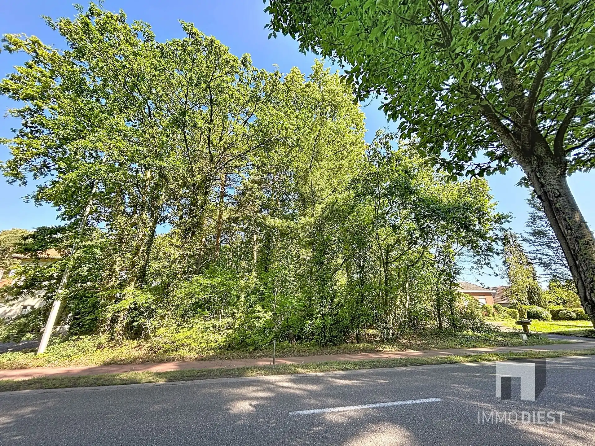 Ruim perceel van 1270 m² in het groene Engsbergen, ideaal gelegen tussen Tessenderlo en Scherpenheuvel foto 7