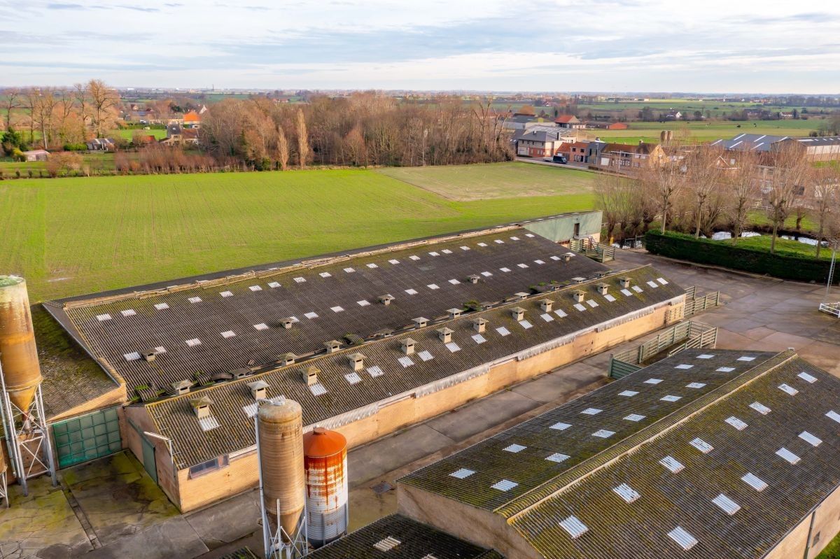Vleesveebedrijf te koop op 3,29 ha te koop te Alveringem foto 6
