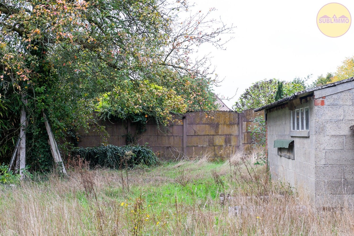 Half open bebouwing op een perceel van 865 m² in Tessenderlo-Ham. foto 23