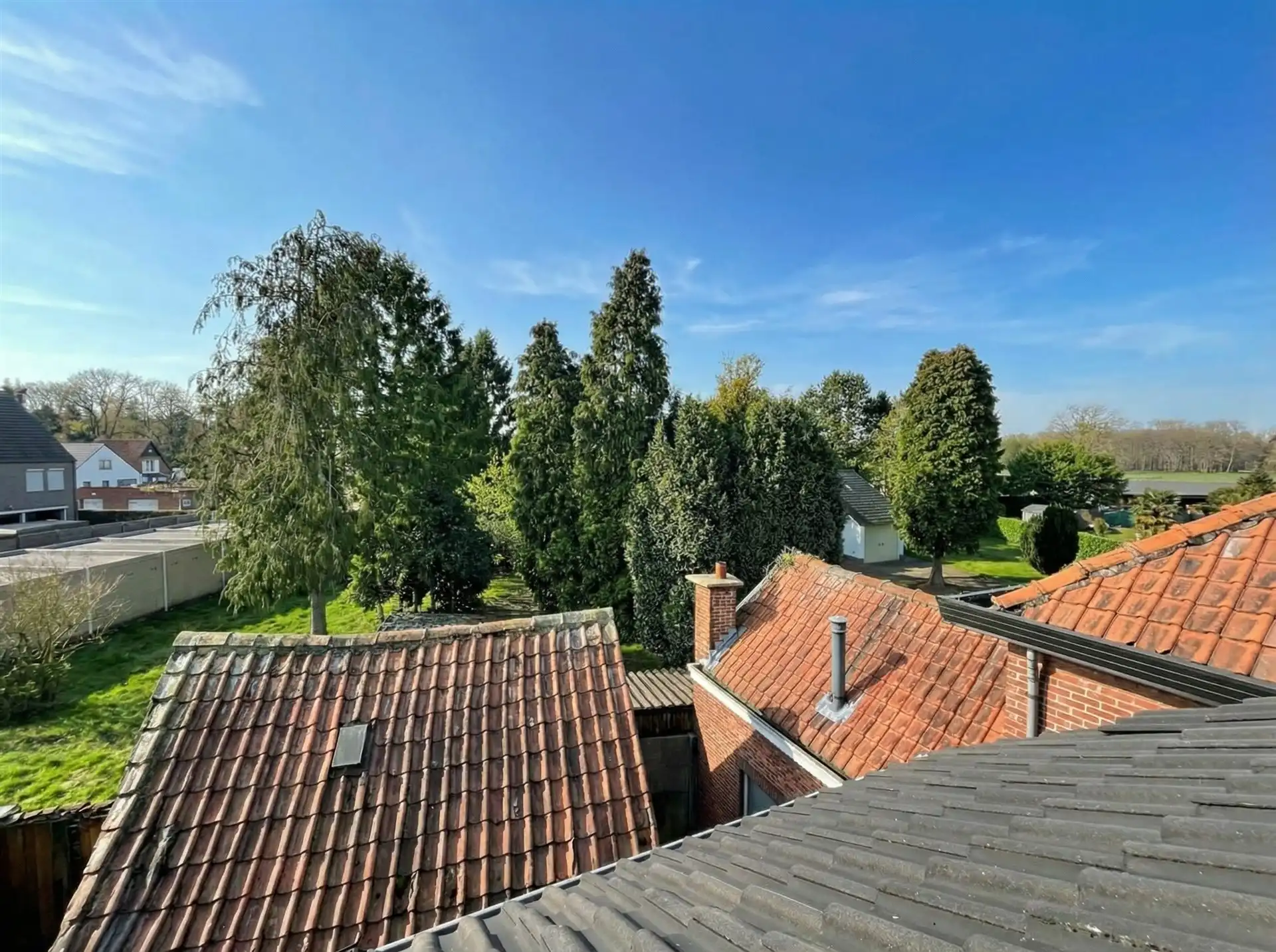 Gezeligge woning met 2 slaapkamers, volledig vernieuwd! foto 13