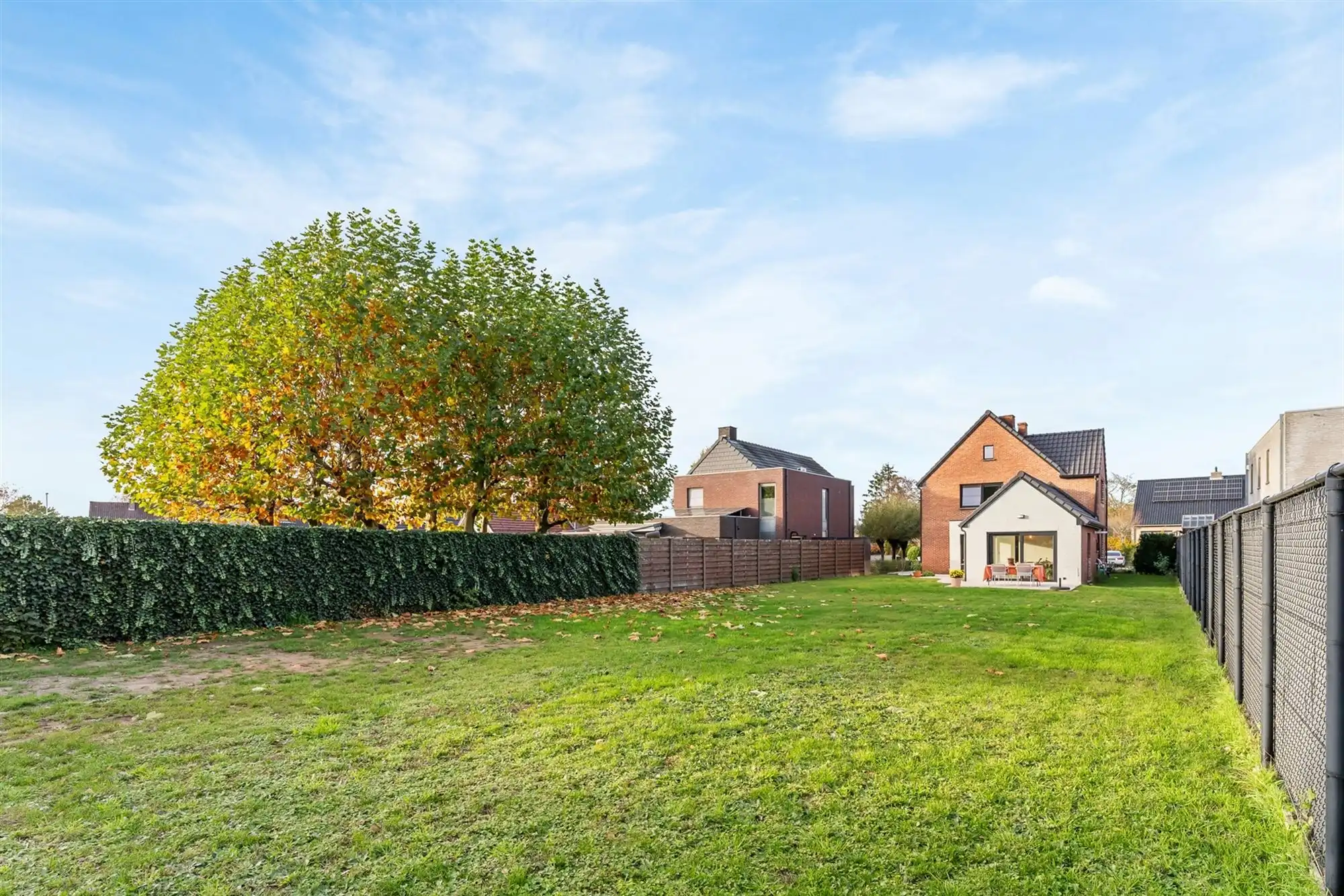 COMPLEET GERENOVEERDE WONING OP PERCEEL VAN BIJNA 9 ARE VLAK BIJ ZOLDER CENTRUM, OMGEVEN DOOR GROEN. foto 30