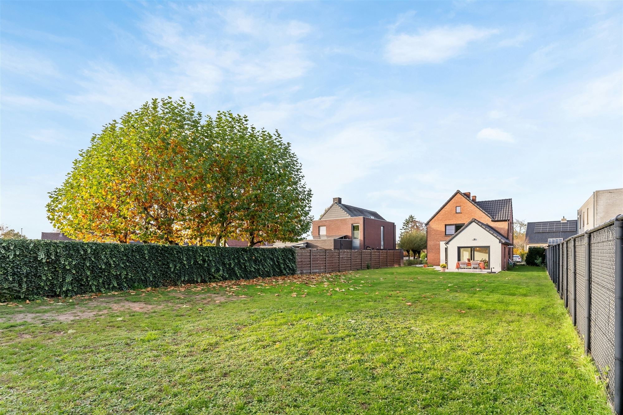 COMPLEET GERENOVEERDE WONING OP PERCEEL VAN BIJNA 8 ARE VLAK BIJ ZOLDER CENTRUM, OMGEVEN DOOR GROEN. foto 30