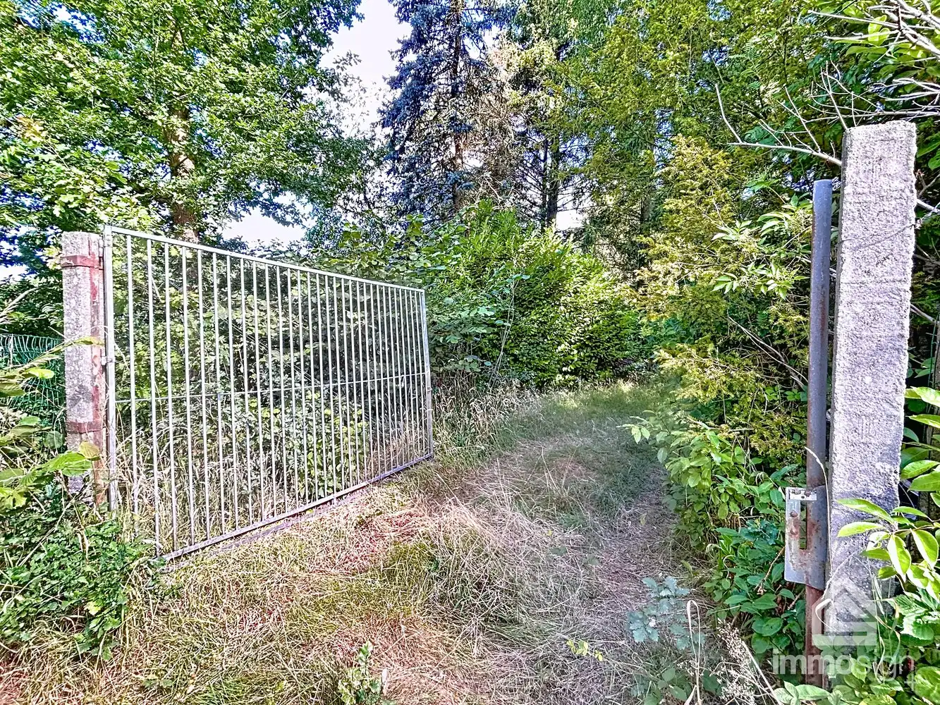 Uniek stuk grond van 9.050 m² in Grote-Brogel/Peer! foto 3