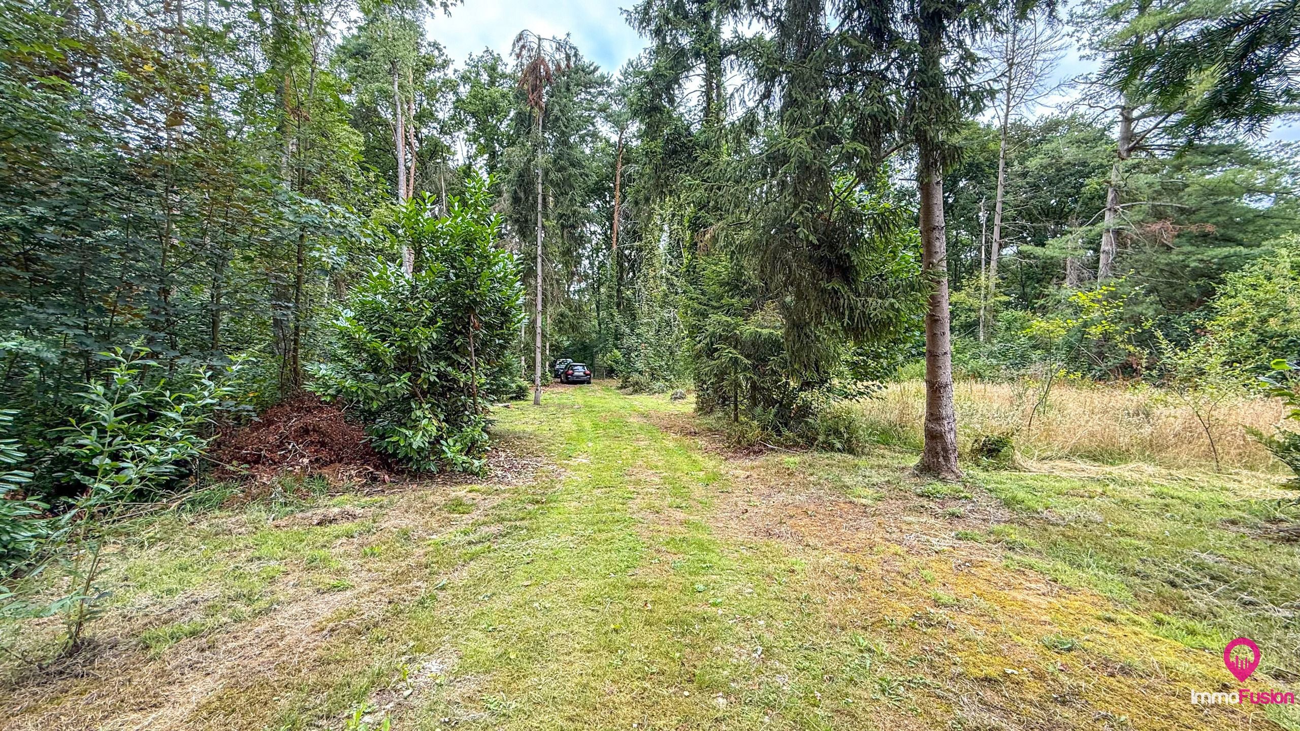 Droom buitenverblijf in Hasselt voor natuurliefhebbers!  foto 35