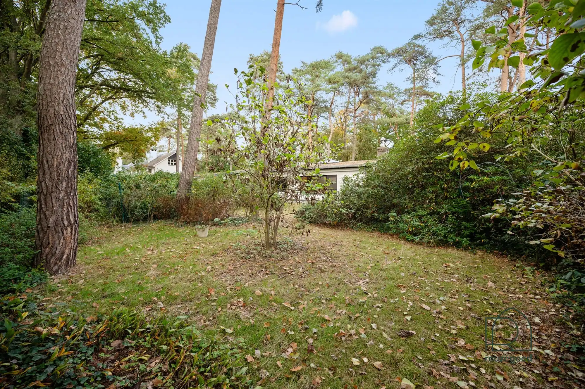 Unieke bungalow (4 slaapkamers) in het groen van Bonheiden  foto 20