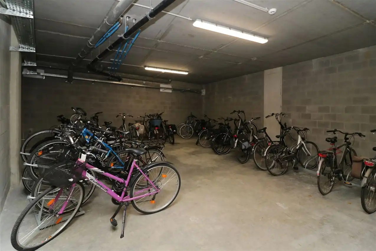 Gelijkvloers app., twee slpk, zonnig terras in centrum foto 33