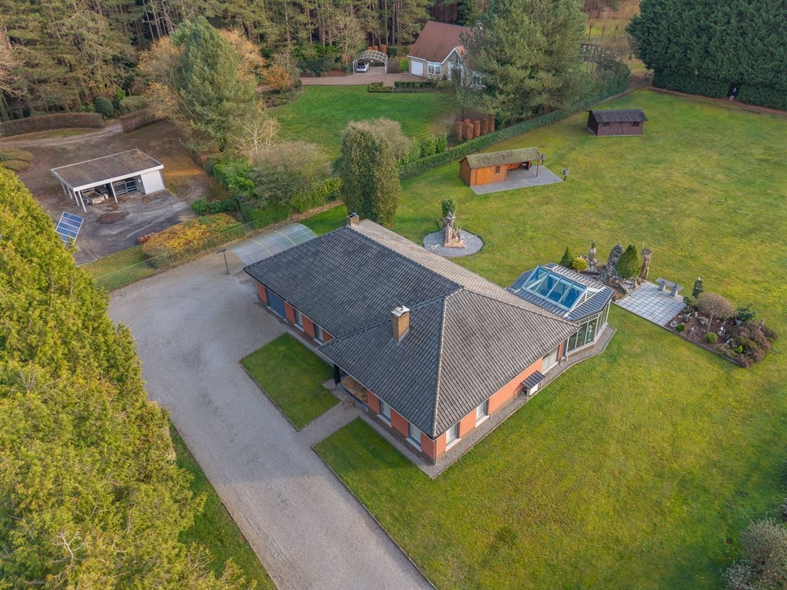 verborgen parel in het groen foto 58