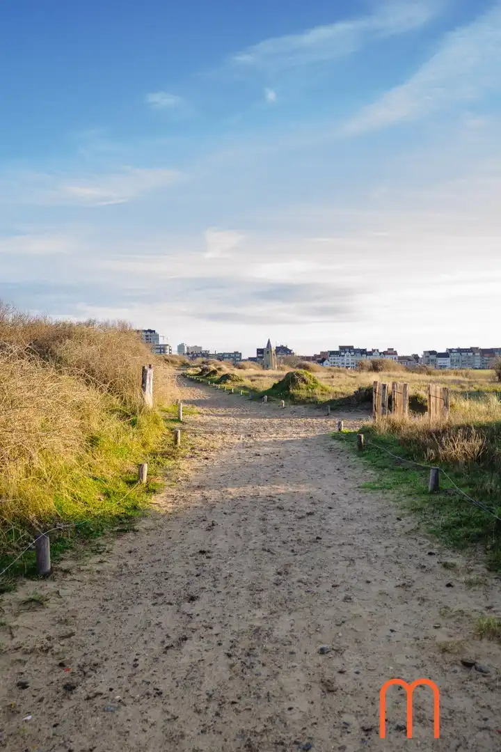 Te renoveren woning met ruime tuin op topligging in Oostende foto 26