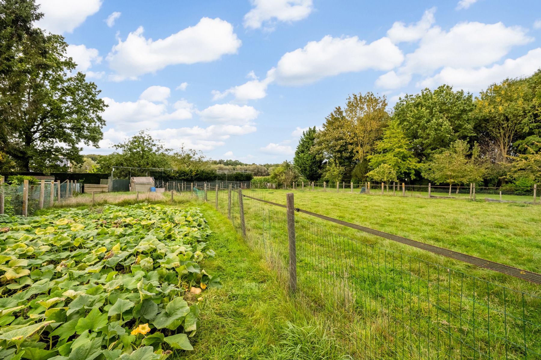 Unieke te renoveren boerderij  foto 11