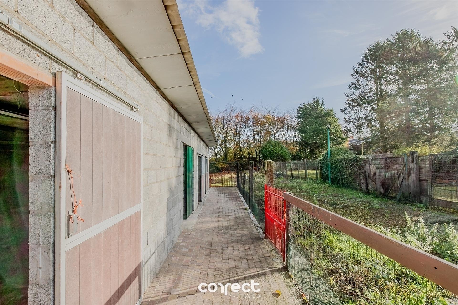 Instapklare open bebouwing met garage, ruime tuin met werkplaats/stallingen. foto 14