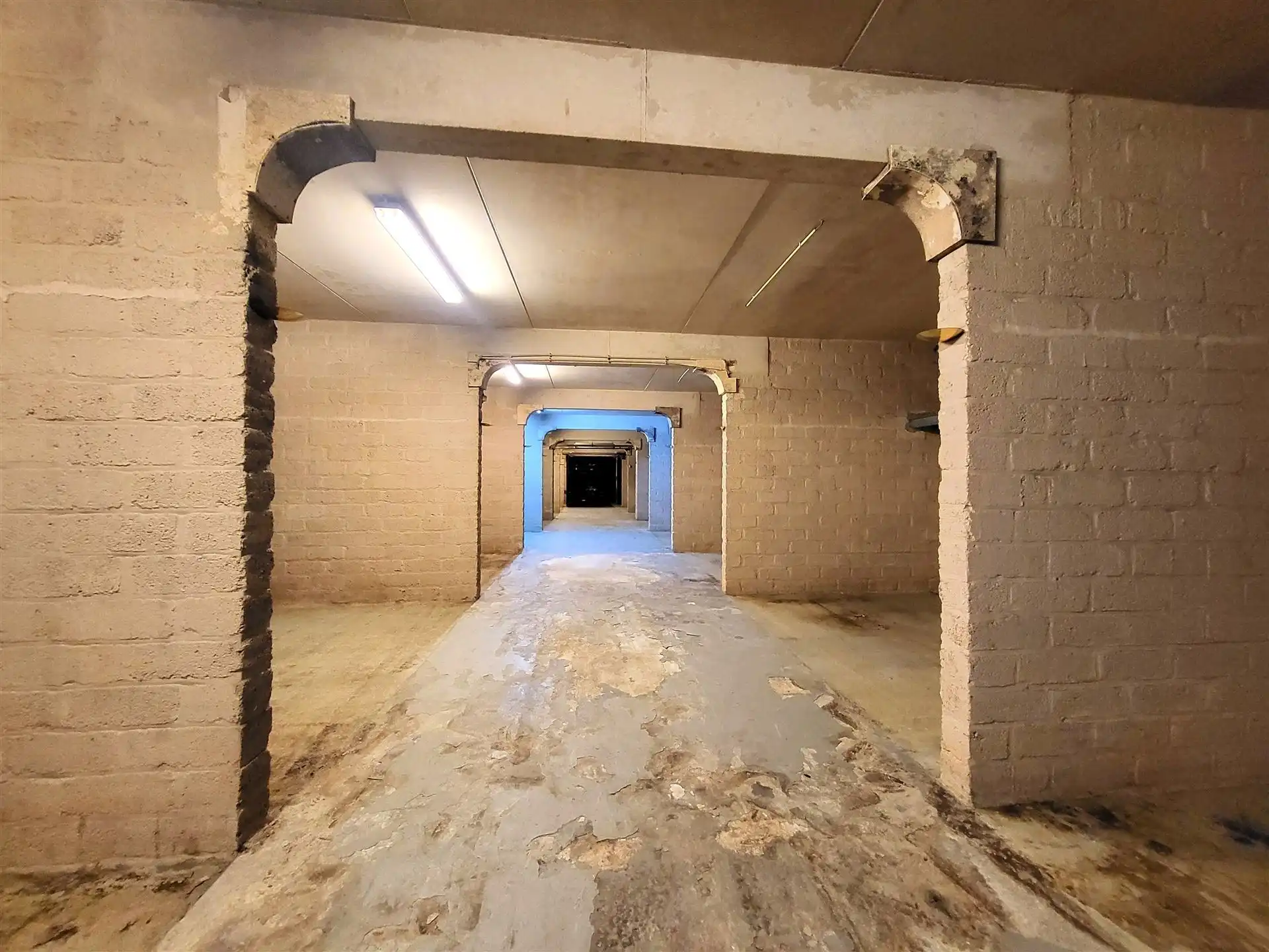 Villa met professionele opslagruimte, kelder en kantoorruimtes. foto 20