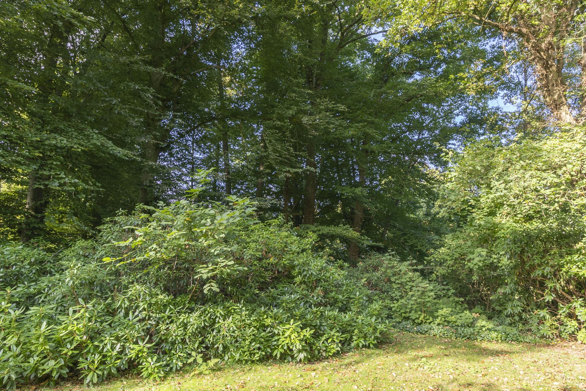 Architectuurwoning door bOb Van Reeth op 2.303m² in Schilde foto 39