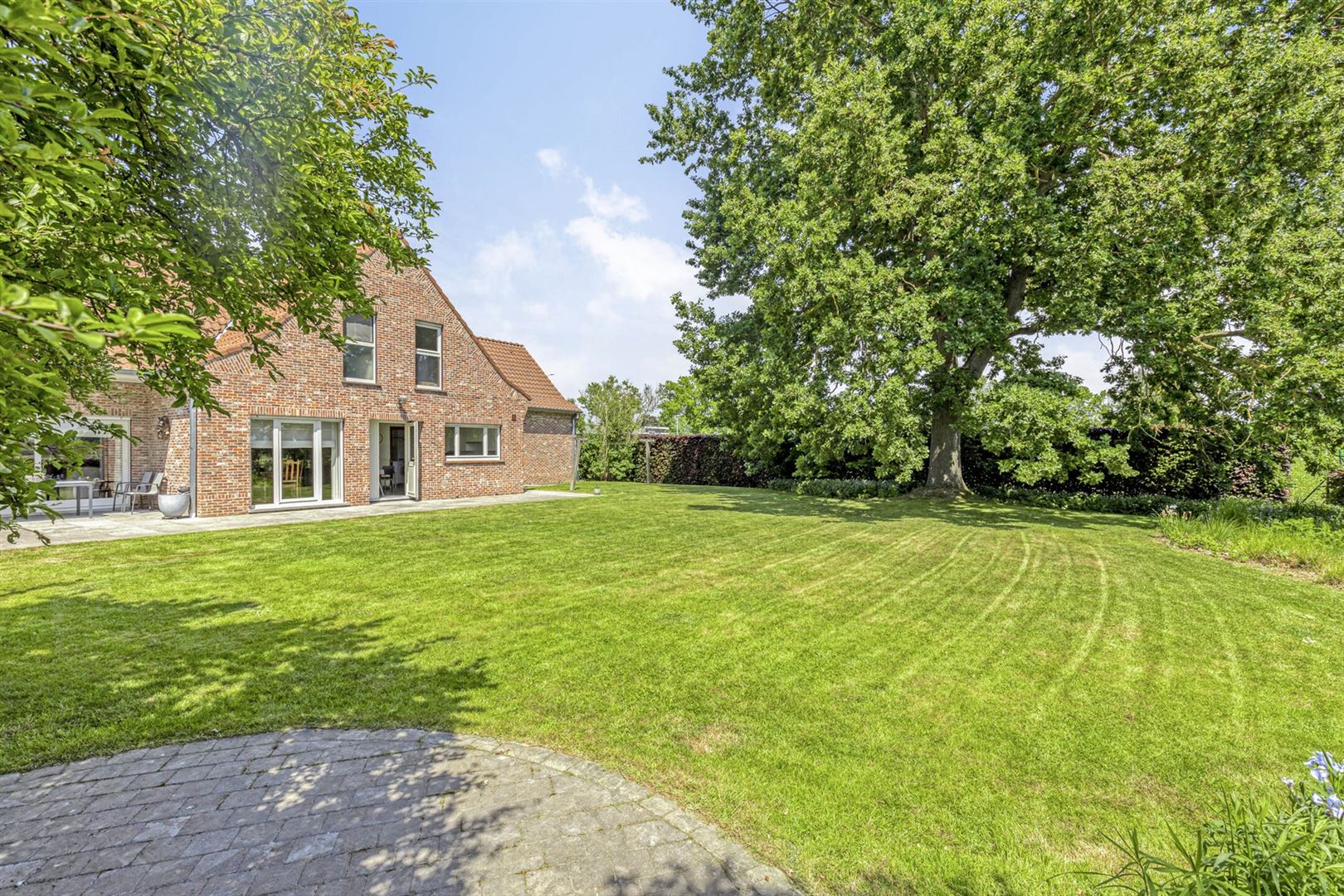 Huis + weiland foto 28
