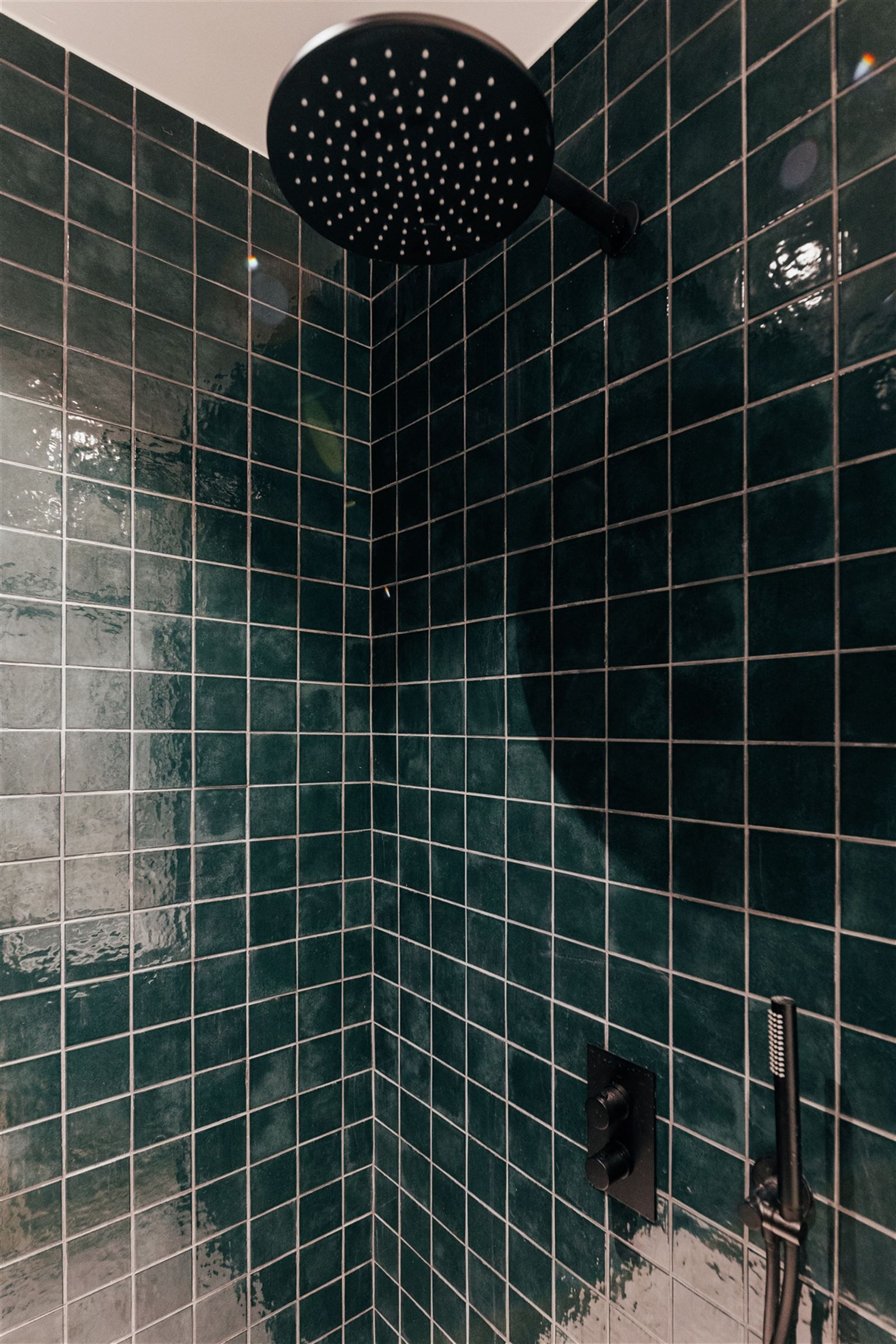 PULHOF: hoogstaand afgwerkt 1 slpk appt. met dak terras  foto 10