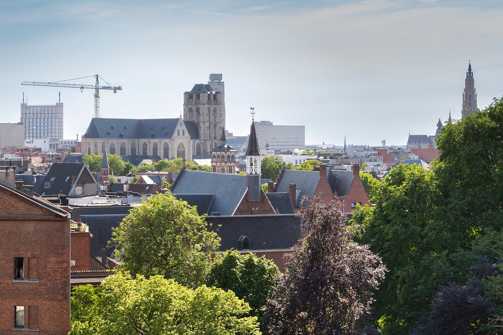 Personalisatiemogelijkheden met een zicht foto 7