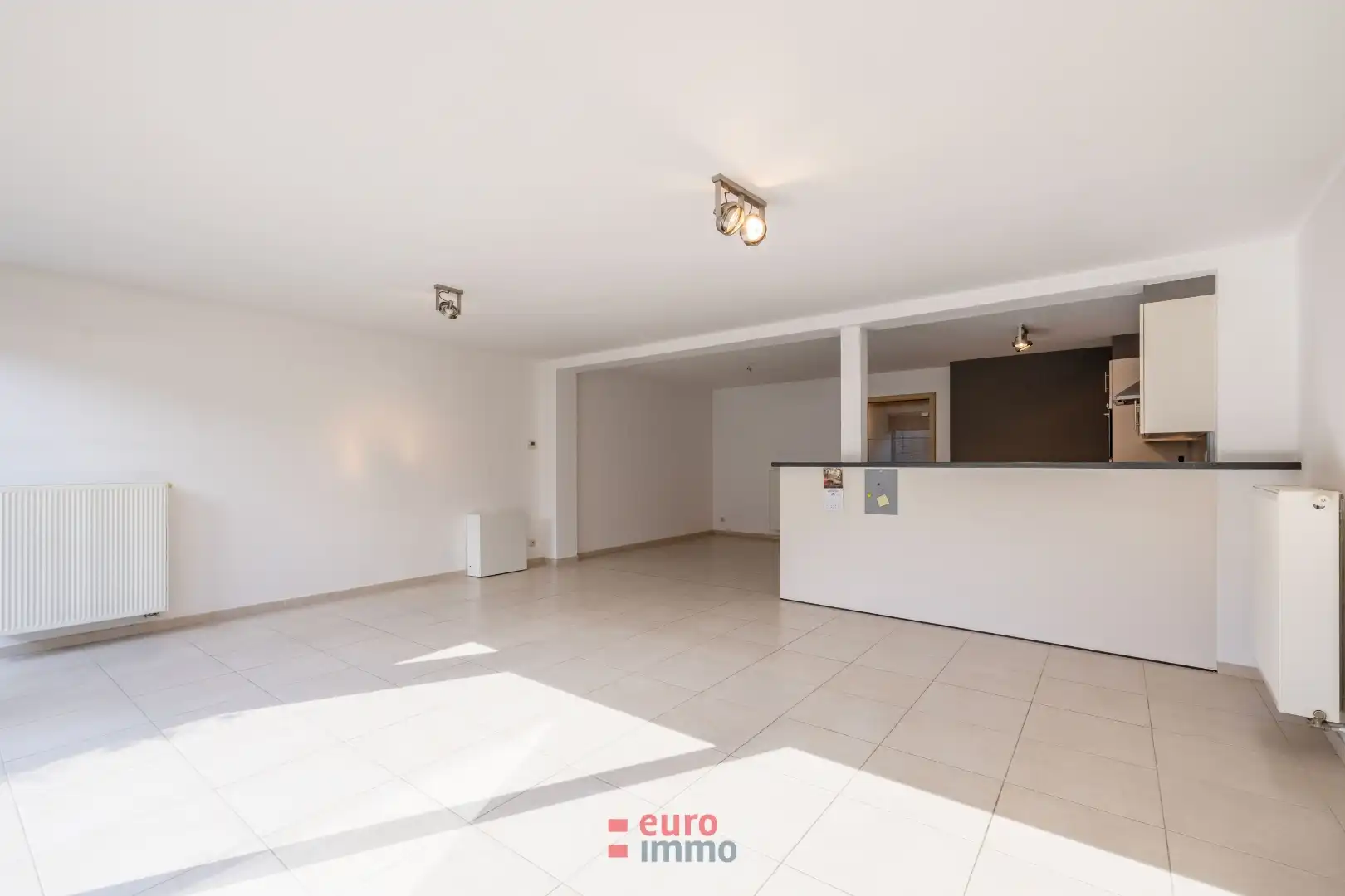 Zeer ruim en lichtrijk appartement met patio en stadskoer in hartje Nieuwpoort foto 4