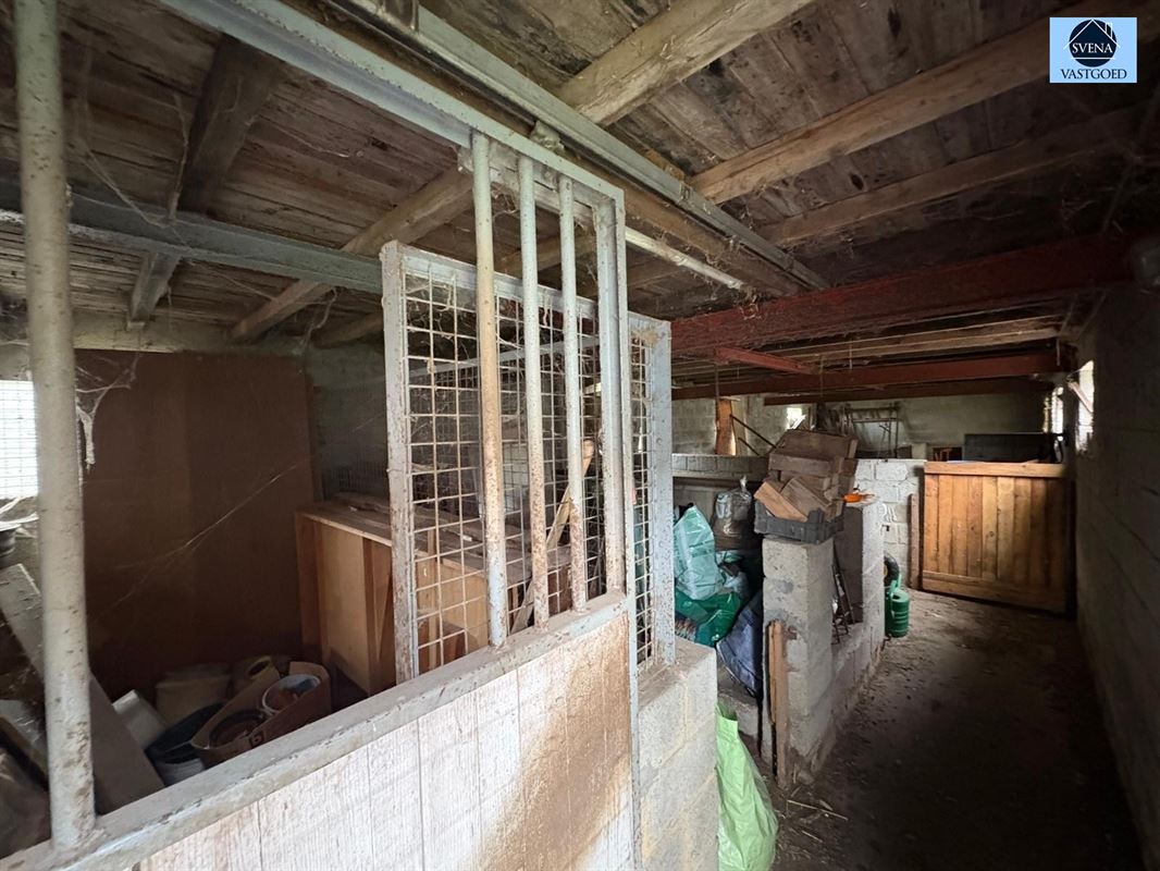 RUIME WONING MET TUIN EN WEILAND foto 14