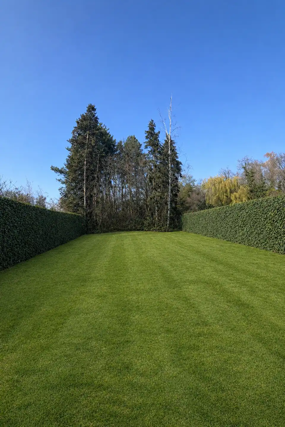 Uitzonderlijk nieuwbouwappartement tussen Bokrijk en Boxberg foto 6