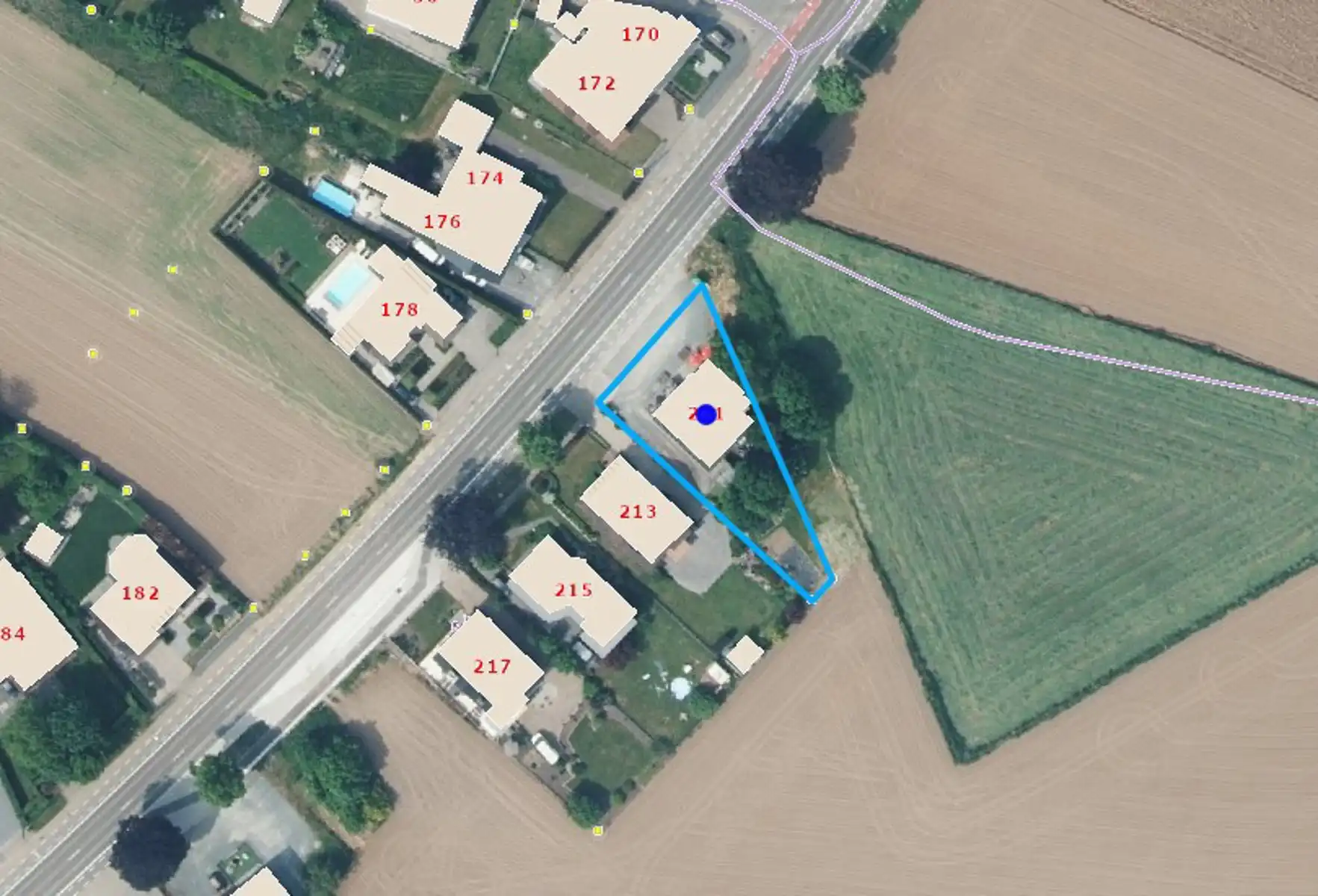 Overname handelsfonds met gebouw en grond te Haaltert!  foto 3