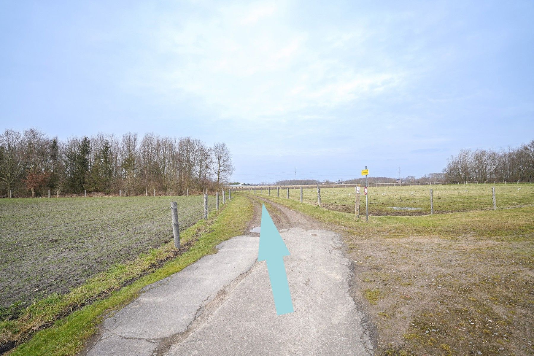 Perceel landbouwgrond van 1ha 37a 50 ca in Kapelle-op-den-Bos foto 8