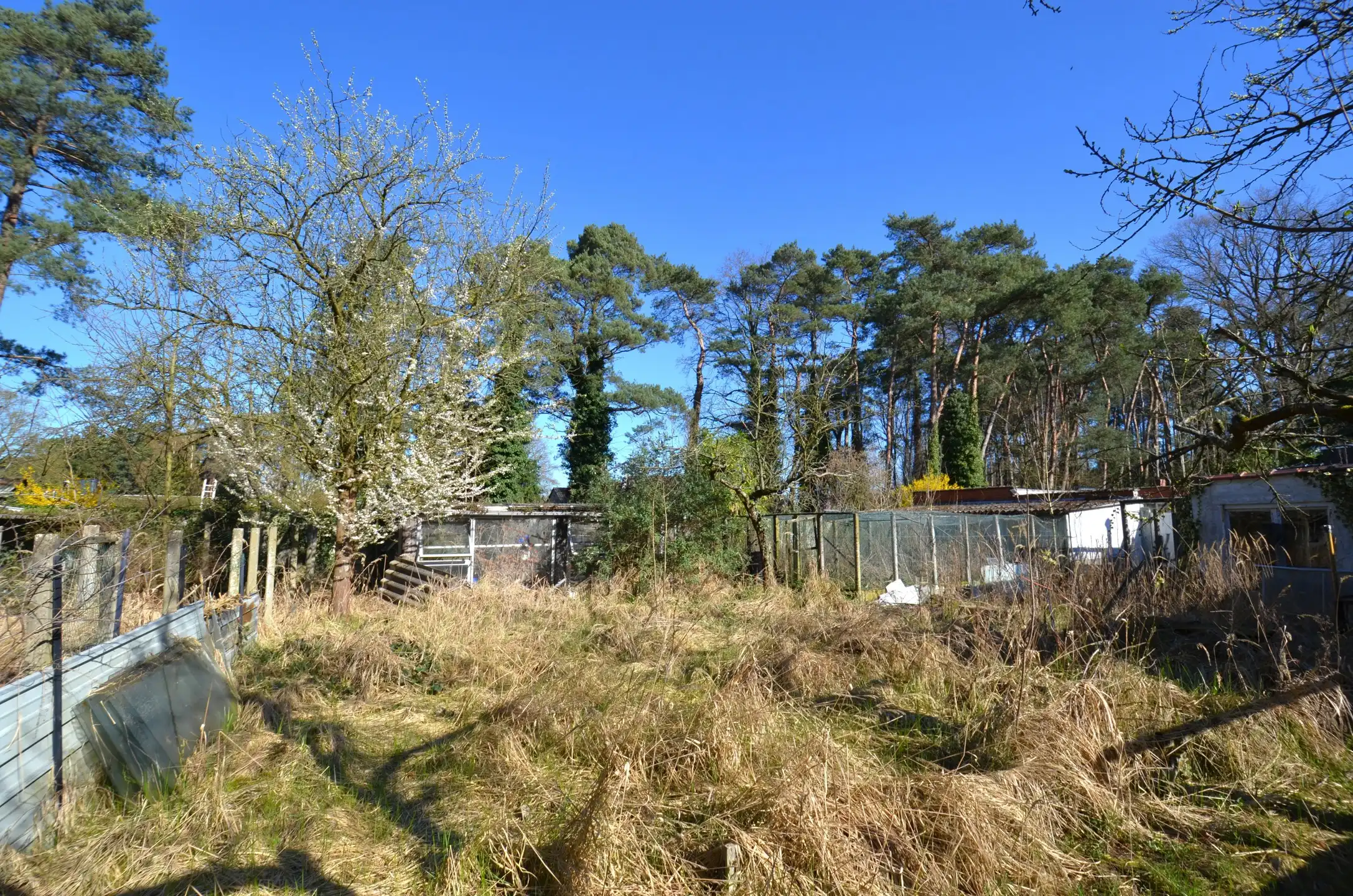 Ruime bouwgrond voor een OB foto 3