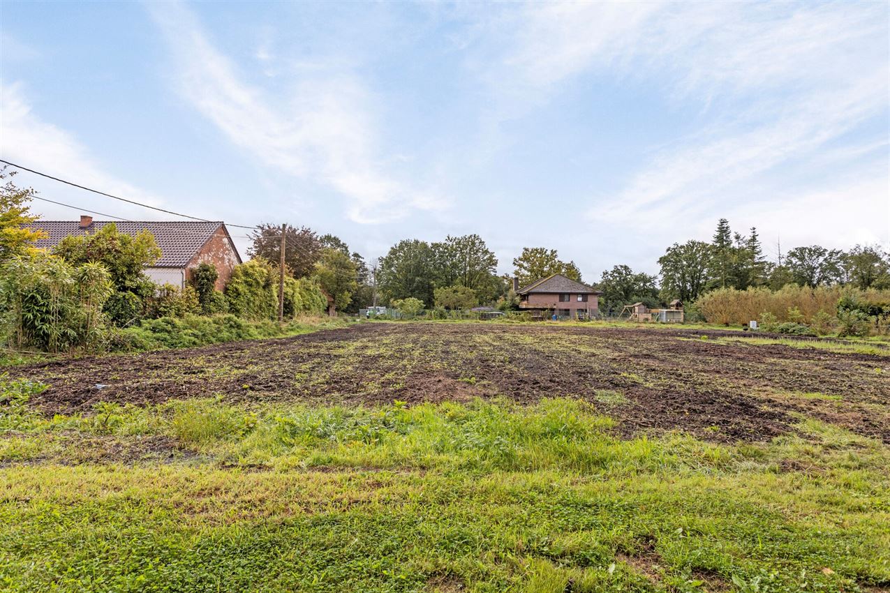 Unieke kans: Te renoveren of nieuw te bouwen hoeve op 31a40 in een rustige, landelijke omgeving foto 7