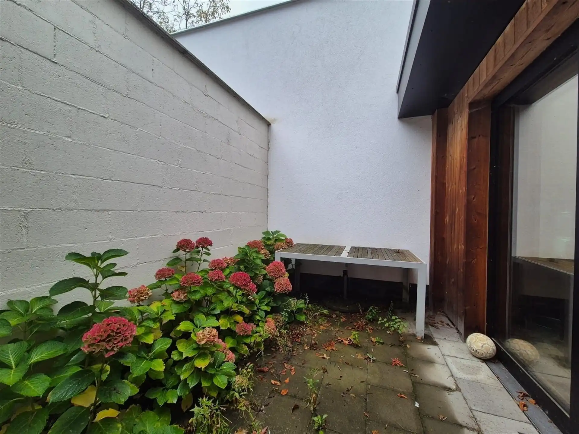 Gelijkvloerse kantoorruimte met kelder en terras. foto 18