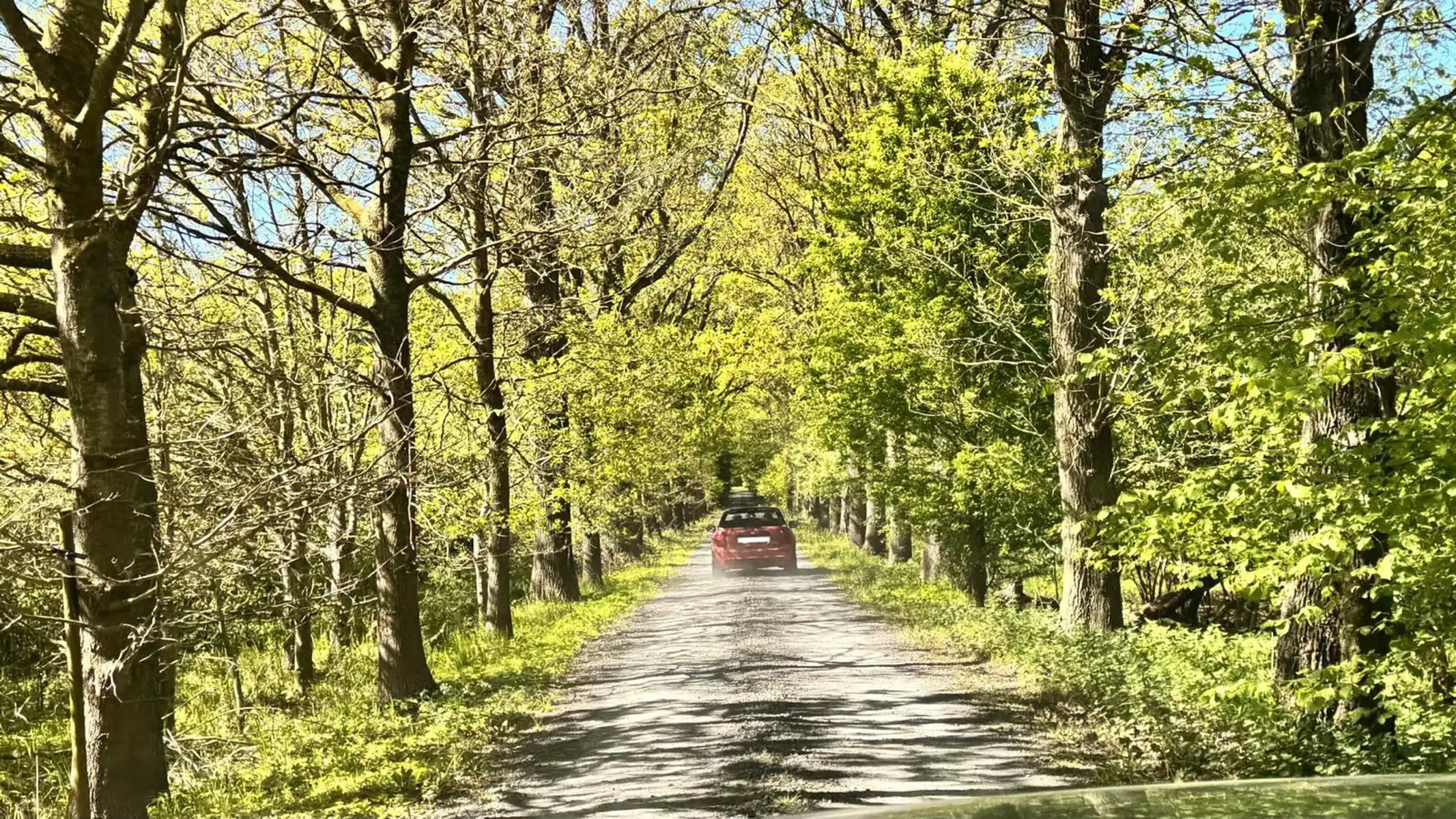 Prachtige thuis in totale discretie, tussen veld en bos... foto 30