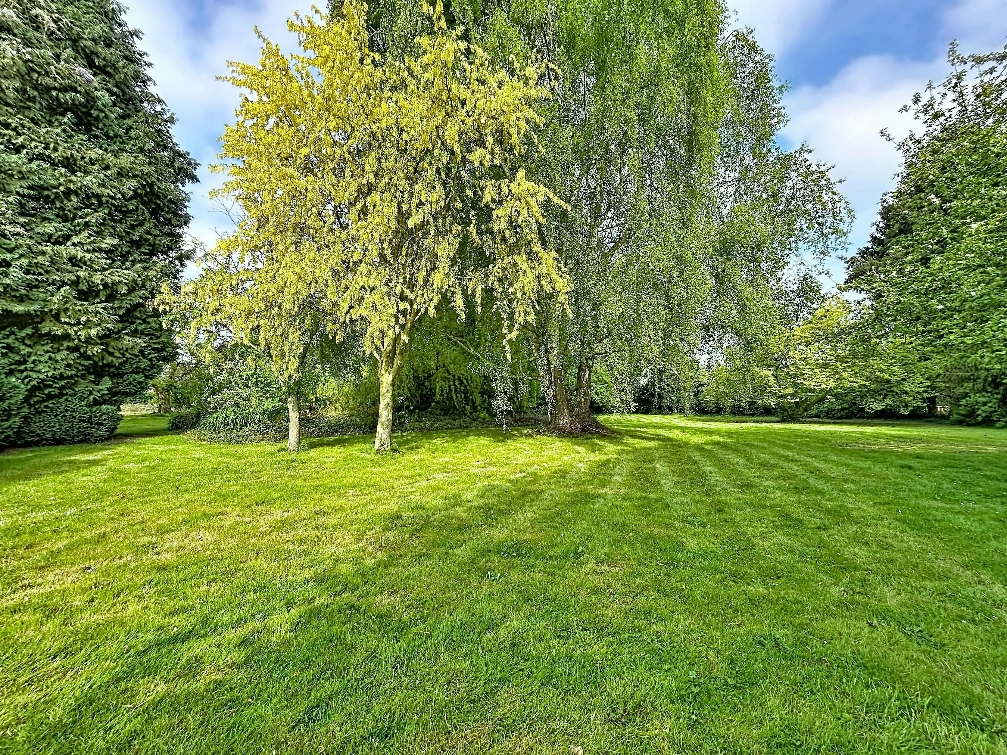 Exclusief wonen in het groen: Een verborgen parel in Meise foto 10
