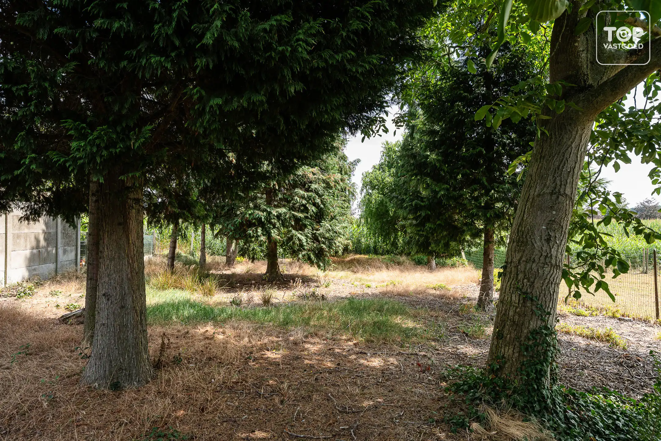 Rustig gelegen woning met ruime tuin, bos en prachtig open uitzicht foto 30
