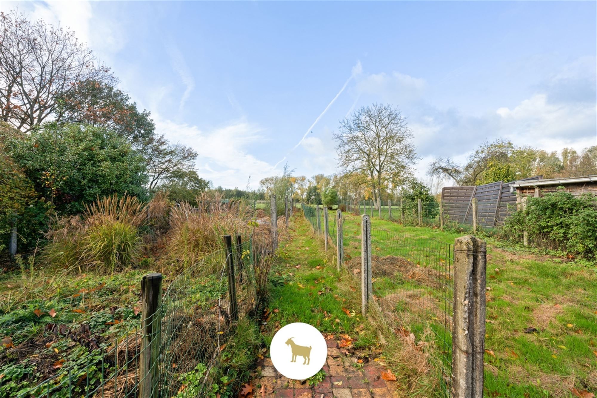 Perceel BOUWGROND (na afbraak bestaande bebouwing) voor OPEN BEBOUWING van ca. 954m² groot foto 10