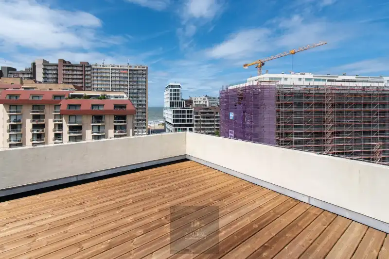 Vernieuwd dakappartement met zeer groot dakterras. foto 28